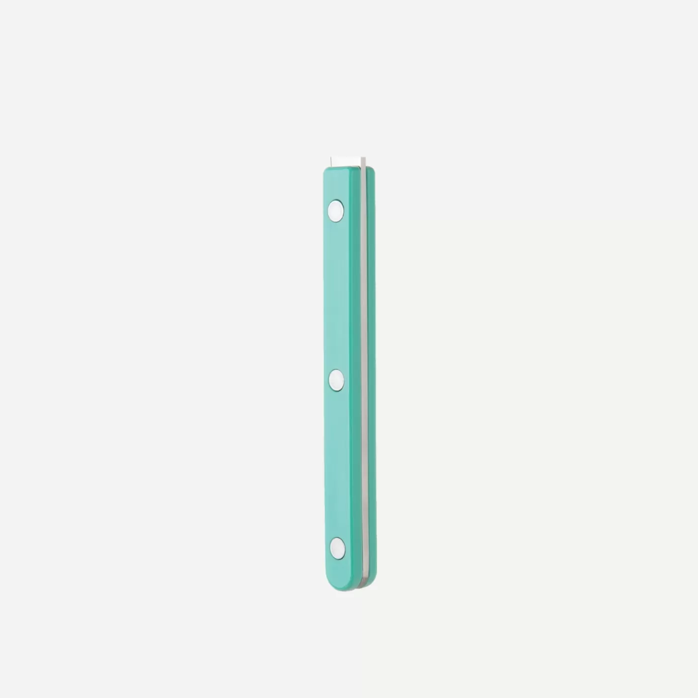 Sabre Paris Small Fork>Bistrot Vintage Solid, Pastel green