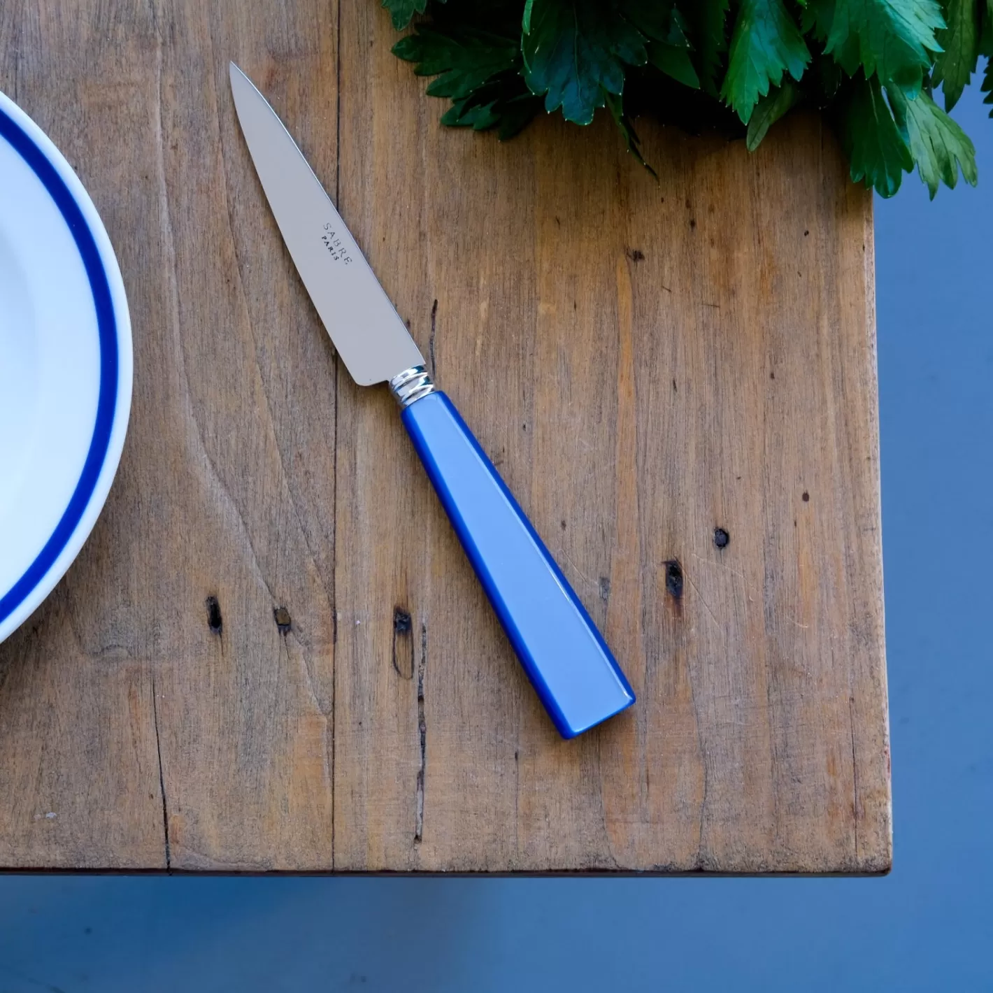 Sabre Paris Kitchen Knife>Icône, Light blue